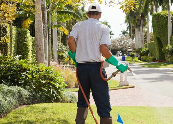 About Mount Hermon CA Pest Control
